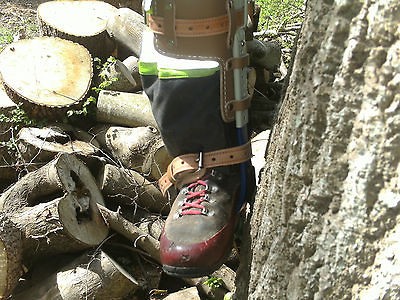 TREE SURGEON CLIMBING IRONS, SPIKES,ARBTECH​NISCH, FREE TOOL BAG,