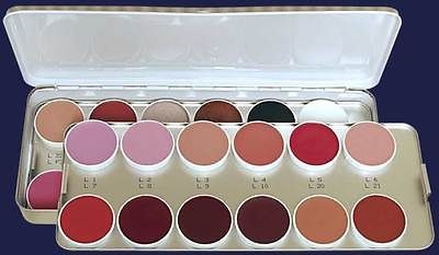   ROUGE PALETTE 24 COLORS LIPSTICKS LIPS CLASSIC MATTE IRIDESCENT 1208