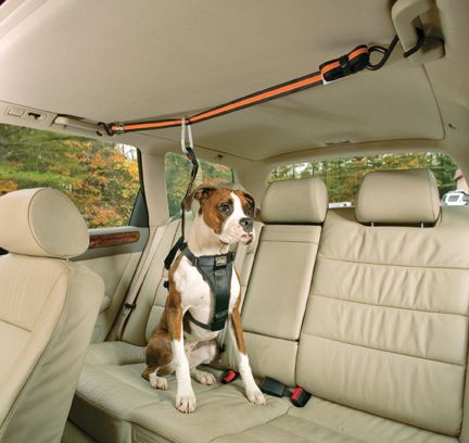Kurgo Car Auto Zip Line Dog Pet Harness Leash Large