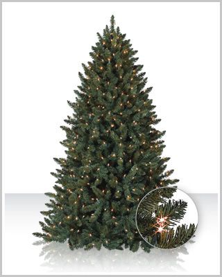 7FT BALSAM SPRUCE PRE LIT CLEAR OR MULTI COLORED CHRISTMAS TREE