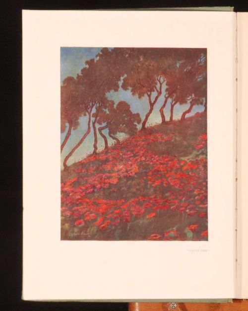 1914 Poppyland by H de Vere Stacpoole Leighton Pearce