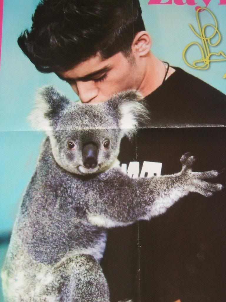 Up for sale is a BRAND NEW WALL POSTER of One Directions Zayn Malik