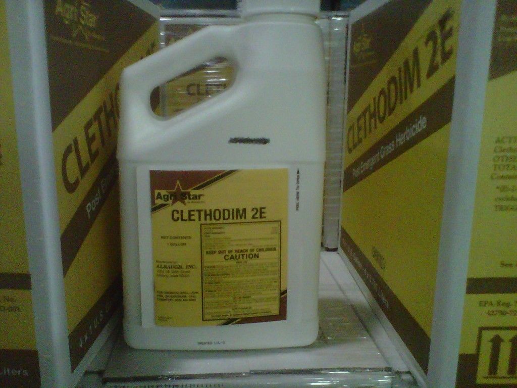 Clethodim Herbicide 1 Gallon Save Your Clover Chickory