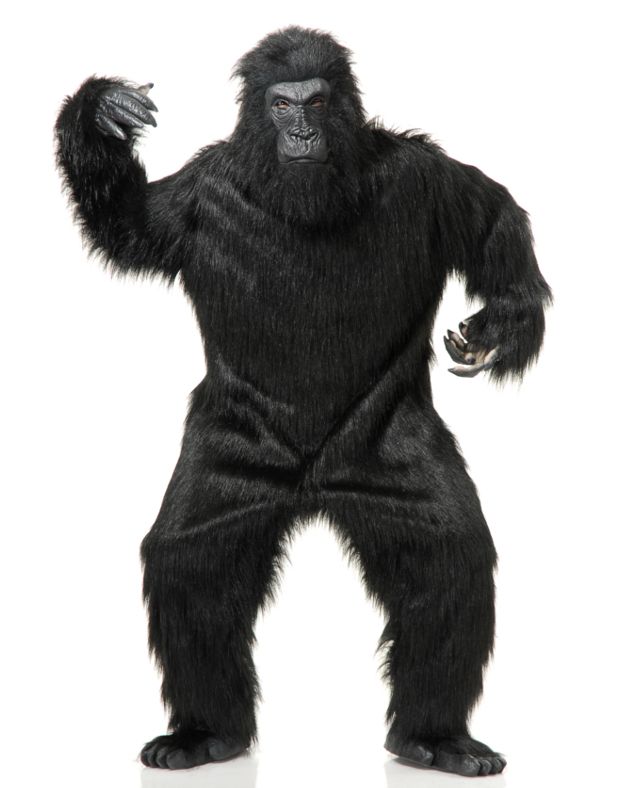 gorillas in our store great value great costume great transaction