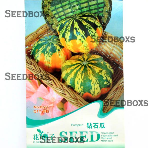 Diamond Shape Pumpkin Ornamental Fruit Seed Garden 8pcs 1 Bag DIYSEEDS
