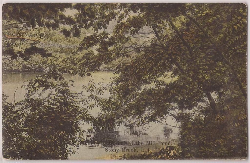 Stony Brook Long Island NY Postcard Mill Pond Scene New York LI 1909