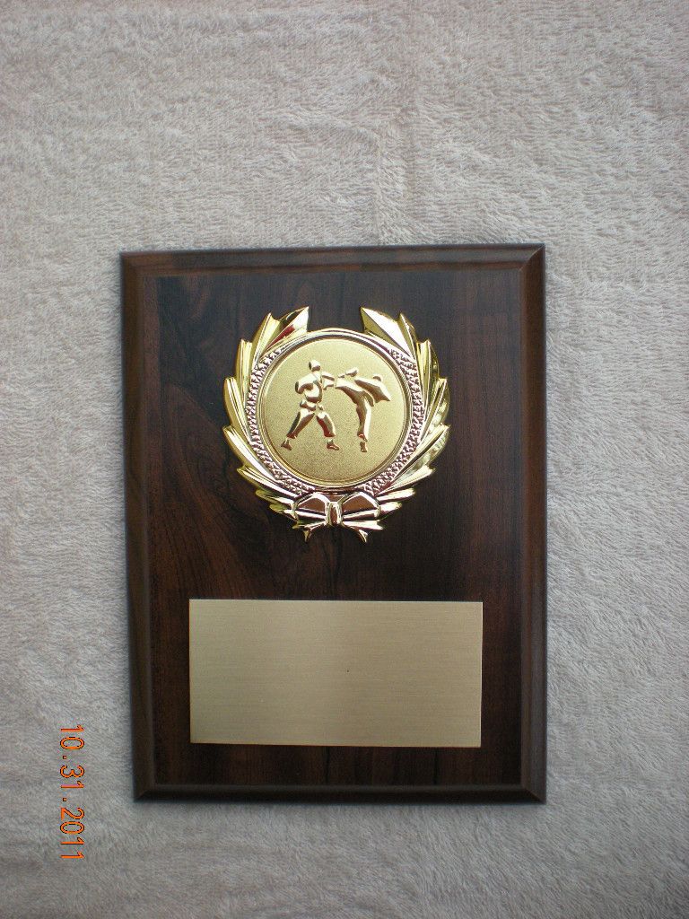 Karate (Martial Arts) Or SPORT, Award Plaque 6x8 Trophy FREE custom