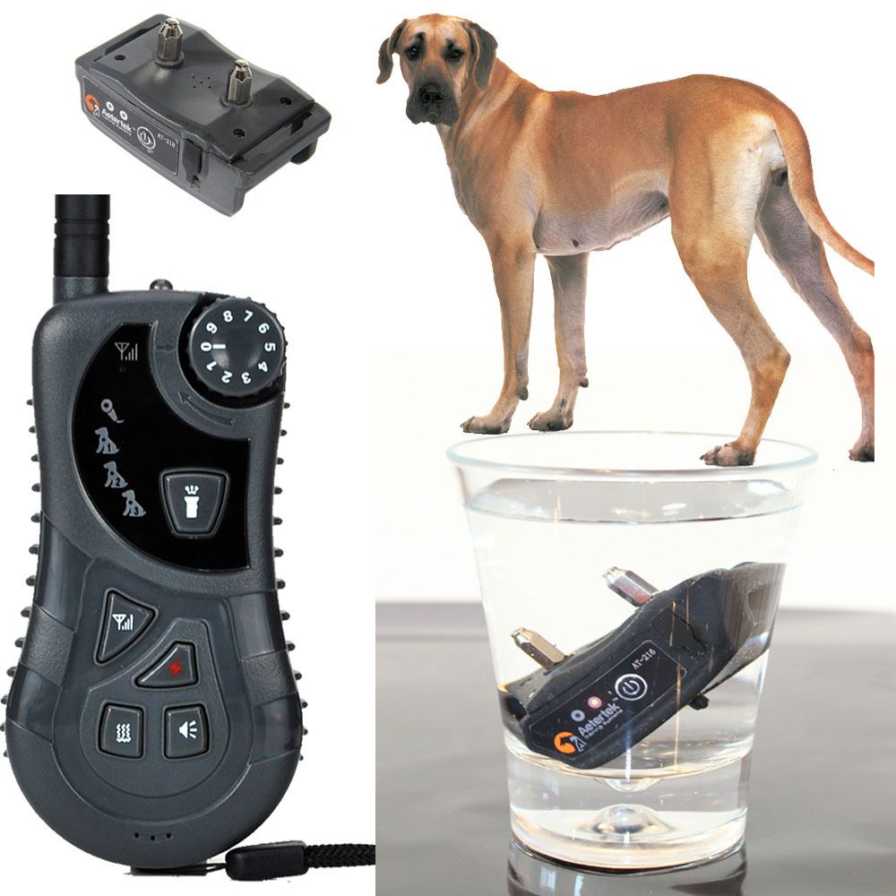 AETERTEK Small Medium Large Remote Dog Pet Training Shock Collar Auto