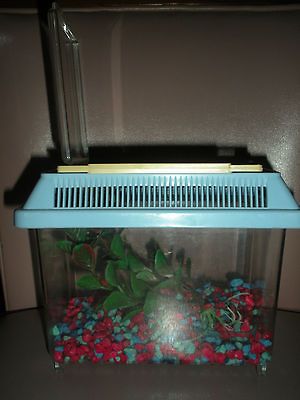 plastic aquarium in Aquariums