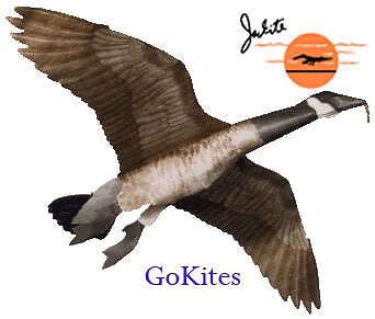 Jackite Canada Goose Kite, Windsock, Decoy, Pole Flyer   WINTER SALE