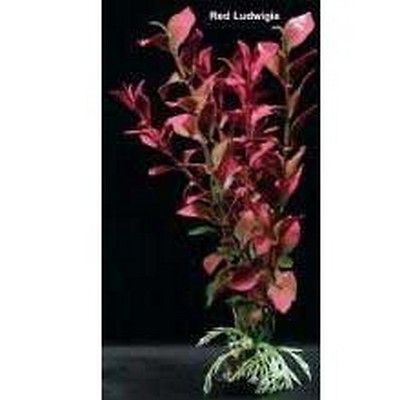 Aim84468 Decorative Plastic Aquarium Foreground Plant   Ludwidgia Red